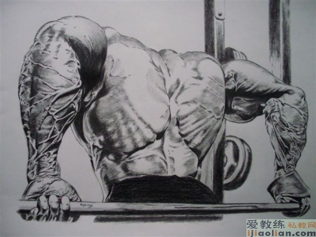 健身健美训练心得之"背部训练"